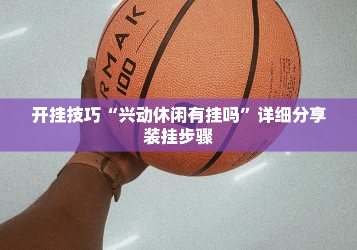开挂技巧“兴动休闲有挂吗”详细分享装挂步骤