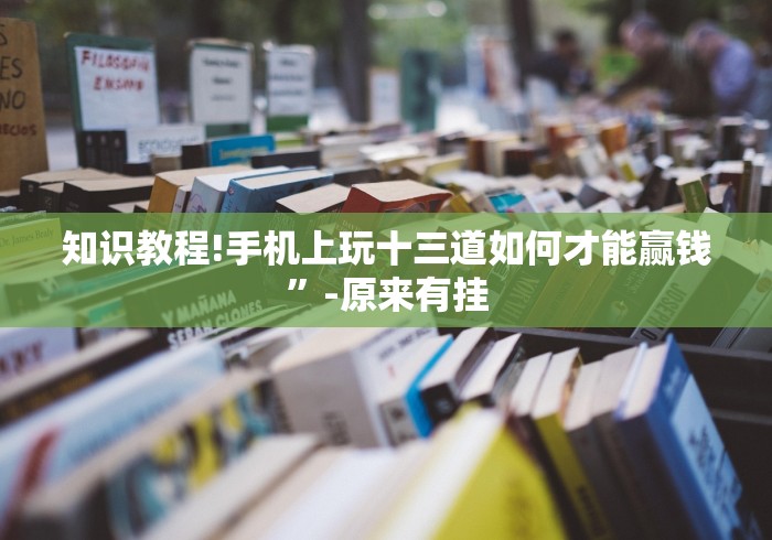 知识教程!手机上玩十三道如何才能赢钱	”-原来有挂
