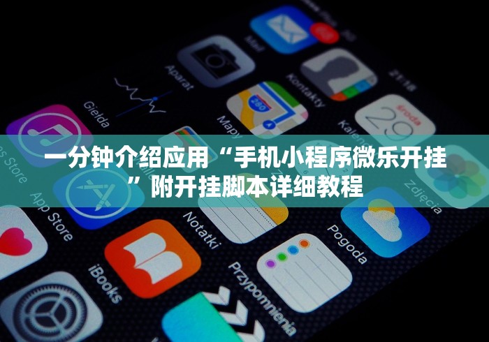 一分钟介绍应用“手机小程序微乐开挂”附开挂脚本详细教程