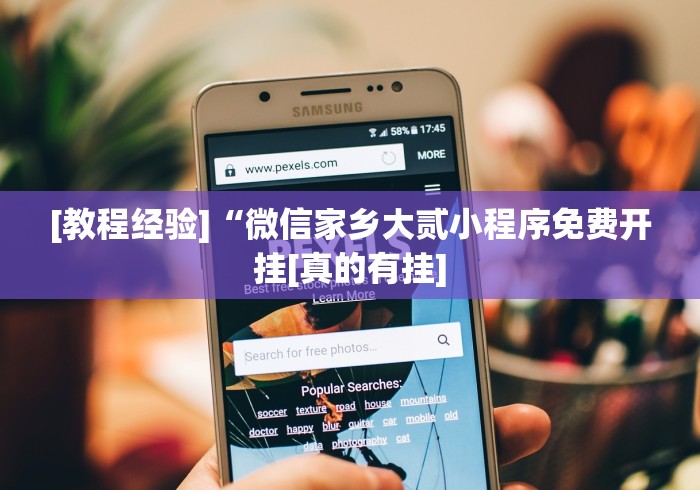 [教程经验]“微信家乡大贰小程序免费开挂[真的有挂]
