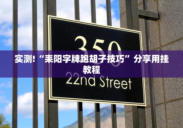 实测!“耒阳字牌跑胡子技巧	”分享用挂教程
