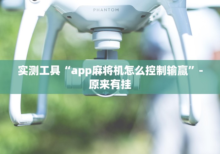 实测工具“app麻将机怎么控制输赢”-原来有挂