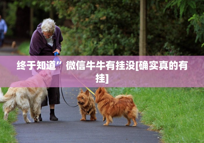 终于知道”微信牛牛有挂没[确实真的有挂]