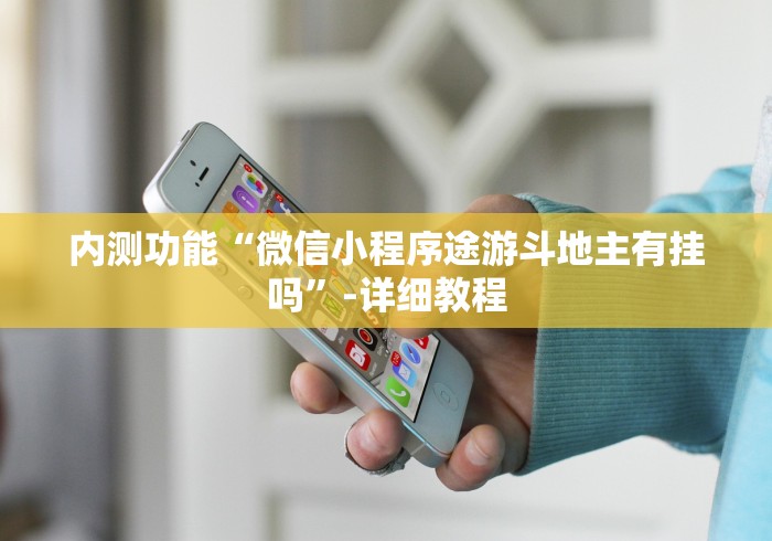 内测功能“微信小程序途游斗地主有挂吗	”-详细教程