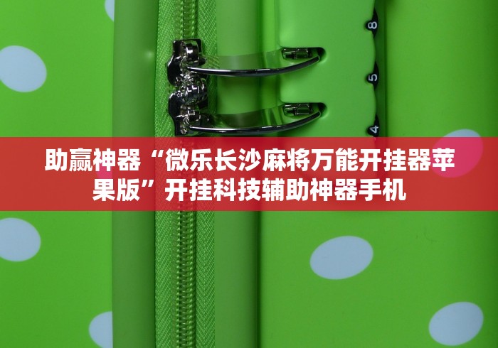 助赢神器“微乐长沙麻将万能开挂器苹果版”开挂科技辅助神器手机