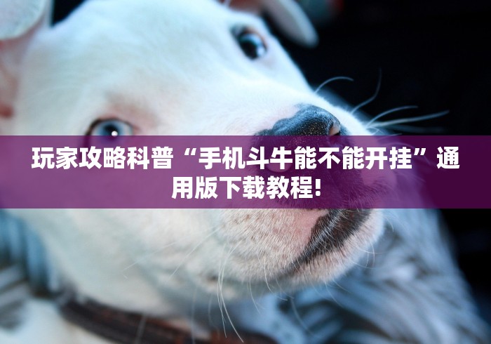 玩家攻略科普“手机斗牛能不能开挂	”通用版下载教程!