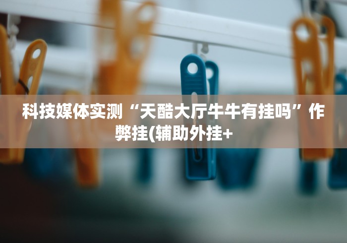 科技媒体实测“天酷大厅牛牛有挂吗”作弊挂(辅助外挂+