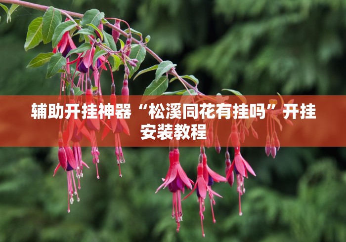 辅助开挂神器“松溪同花有挂吗”开挂安装教程