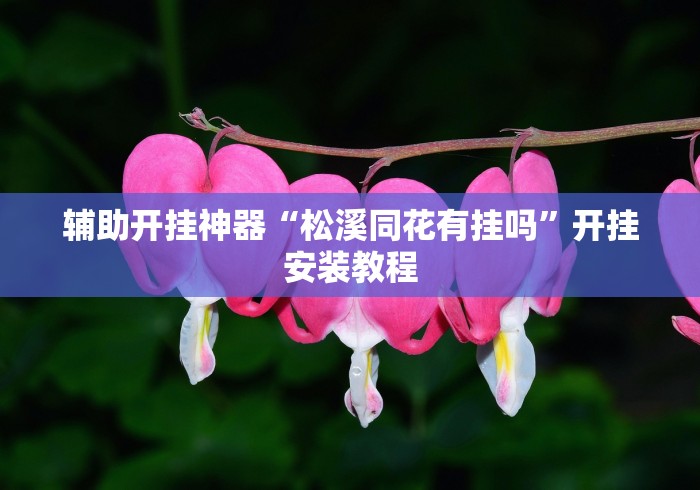 辅助开挂神器“松溪同花有挂吗”开挂安装教程