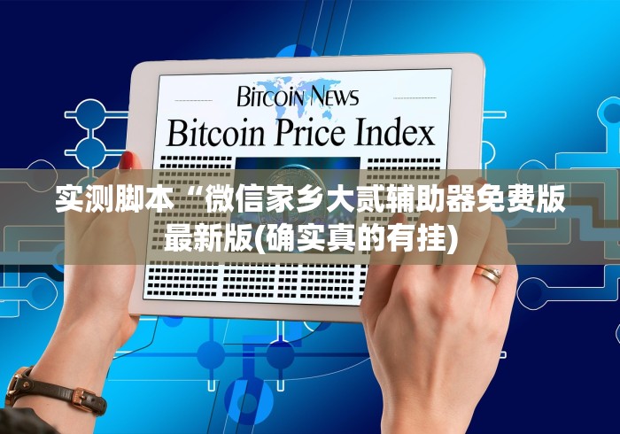 实测脚本“微信家乡大贰辅助器免费版最新版(确实真的有挂)