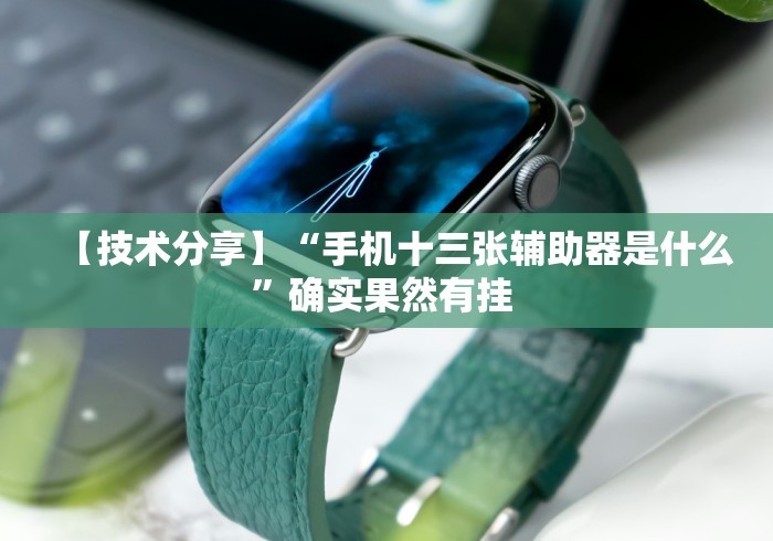 【技术分享】“手机十三张辅助器是什么”确实果然有挂 
