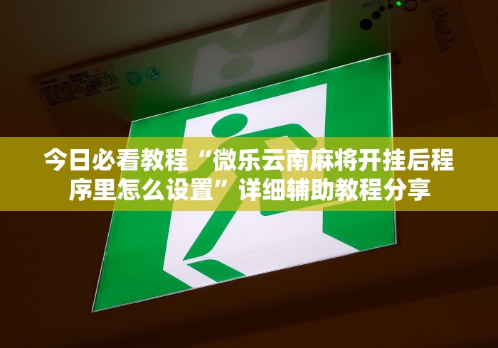 今日必看教程“微乐云南麻将开挂后程序里怎么设置”详细辅助教程分享
