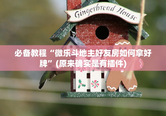 必备教程“微乐斗地主好友房如何拿好牌”(原来确实是有插件)