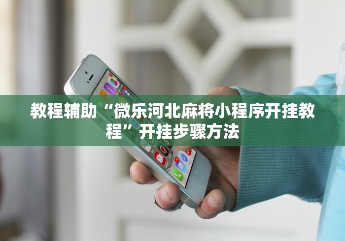 教程辅助“微乐河北麻将小程序开挂教程”开挂步骤方法
