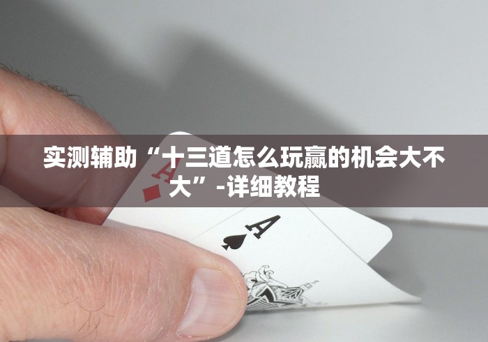 实测辅助“十三道怎么玩赢的机会大不大”-详细教程