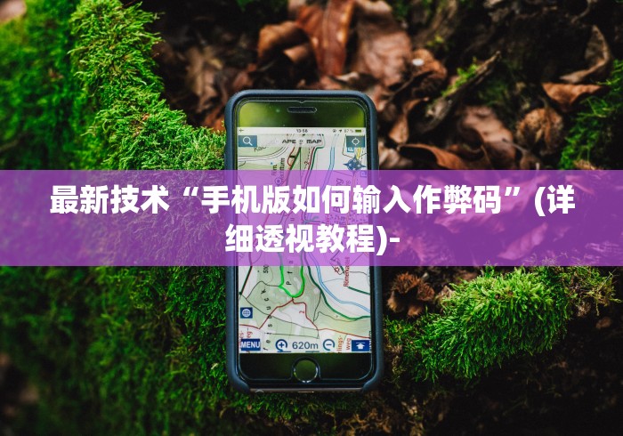 最新技术“手机版如何输入作弊码	”(详细透视教程)-