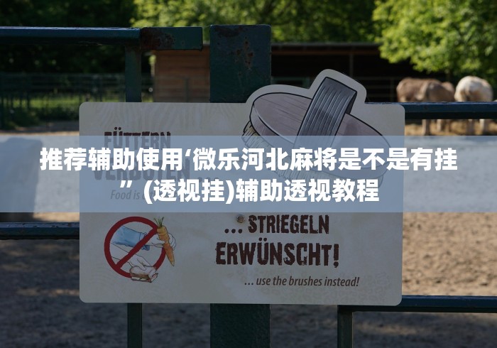 推荐辅助使用‘微乐河北麻将是不是有挂”(透视挂)辅助透视教程