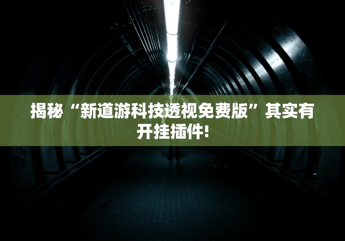 揭秘“新道游科技透视免费版”其实有开挂插件!