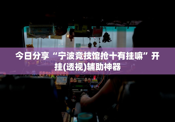 今日分享“宁波竞技馆抢十有挂嘛”开挂(透视)辅助神器