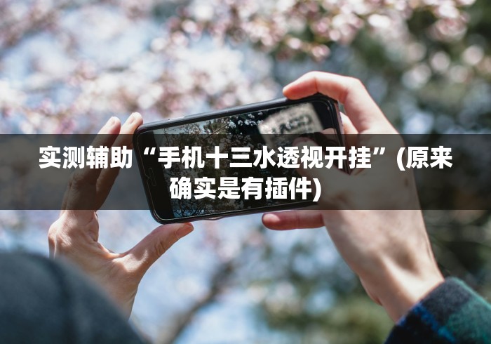 实测辅助“手机十三水透视开挂”(原来确实是有插件)