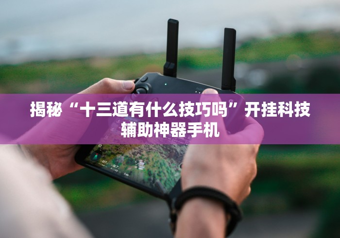 揭秘“十三道有什么技巧吗”开挂科技辅助神器手机