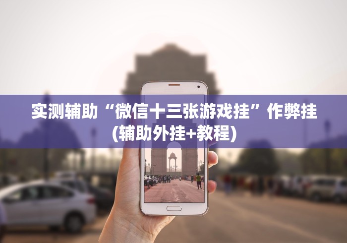 实测辅助“微信十三张游戏挂”作弊挂(辅助外挂+教程)