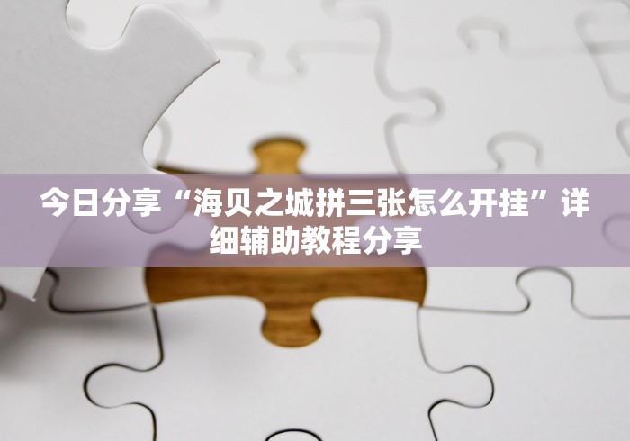 今日分享“海贝之城拼三张怎么开挂”详细辅助教程分享