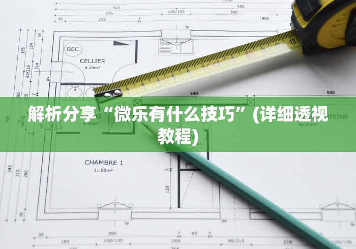 解析分享“微乐有什么技巧”(详细透视教程)