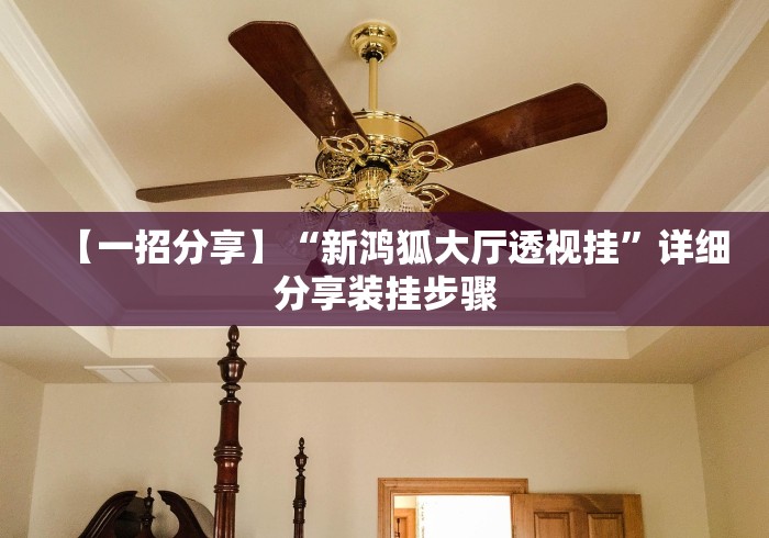 【一招分享】“新鸿狐大厅透视挂”详细分享装挂步骤