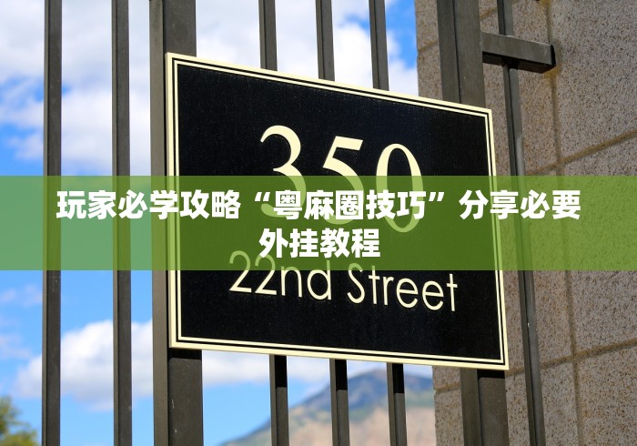 玩家必学攻略“粤麻圈技巧”分享必要外挂教程