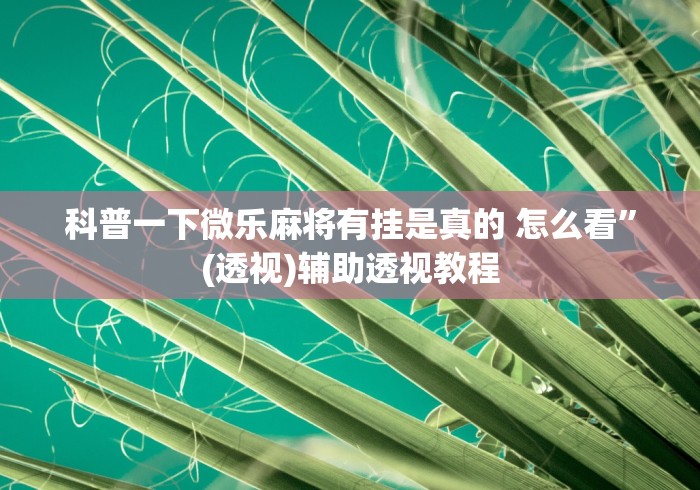 科普一下微乐麻将有挂是真的 怎么看”(透视)辅助透视教程