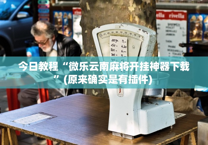 今日教程“微乐云南麻将开挂神器下载”(原来确实是有插件) 