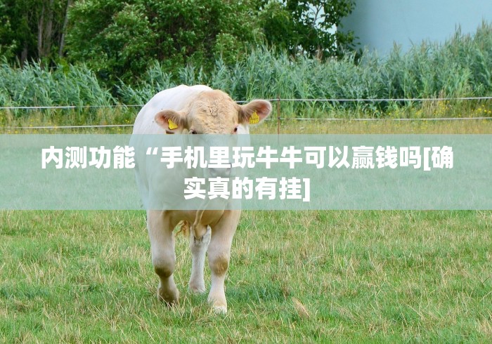 内测功能“手机里玩牛牛可以赢钱吗[确实真的有挂]