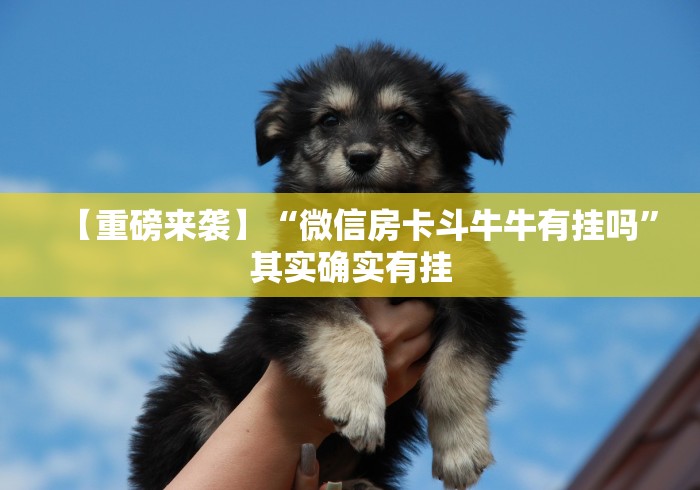 【重磅来袭】“微信房卡斗牛牛有挂吗	”其实确实有挂