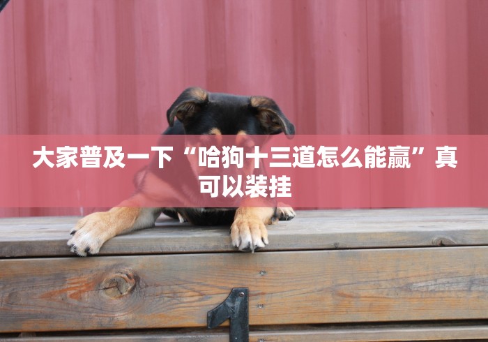 大家普及一下“哈狗十三道怎么能赢”真可以装挂