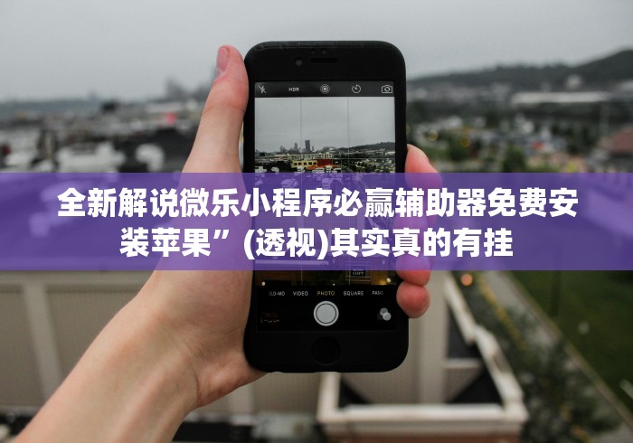 全新解说微乐小程序必赢辅助器免费安装苹果”(透视)其实真的有挂