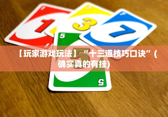 【玩家游戏玩法】“十三道技巧口诀”(确实真的有挂)