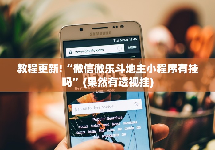 教程更新!“微信微乐斗地主小程序有挂吗”(果然有透视挂)