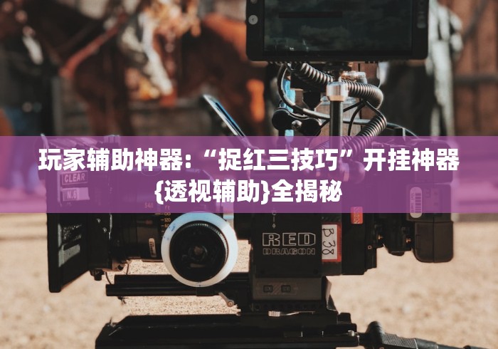 玩家辅助神器:“捉红三技巧”开挂神器{透视辅助}全揭秘