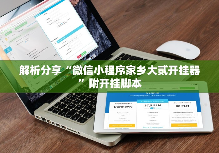 解析分享“微信小程序家乡大贰开挂器”附开挂脚本