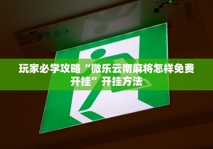玩家必学攻略“微乐云南麻将怎样免费开挂”开挂方法