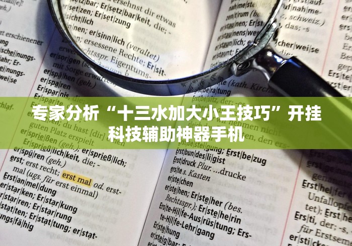 专家分析“十三水加大小王技巧”开挂科技辅助神器手机