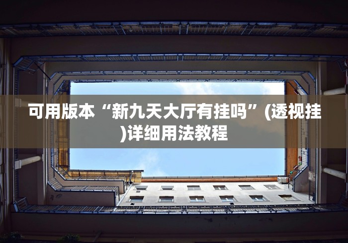 可用版本“新九天大厅有挂吗”(透视挂)详细用法教程