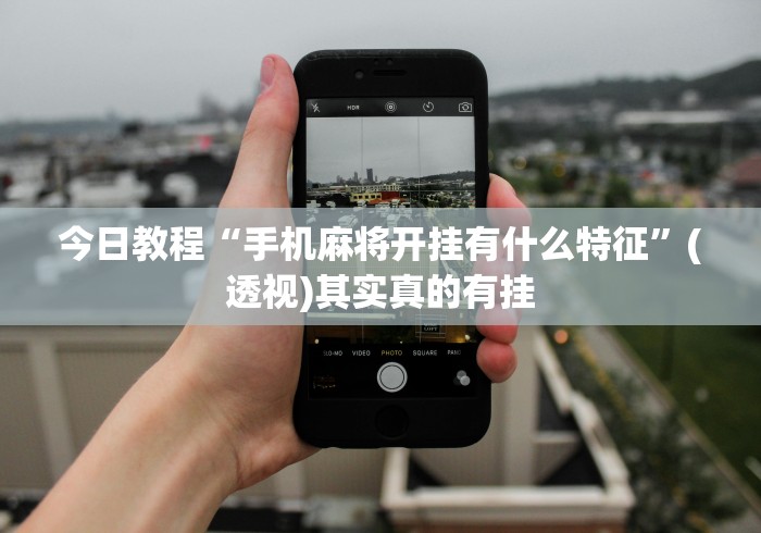 分析必看“微乐踢坑麻将怎么开挂”(透视)其实真的有挂