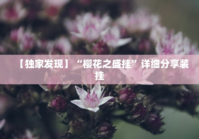 【独家发现】“樱花之盛挂”详细分享装挂
