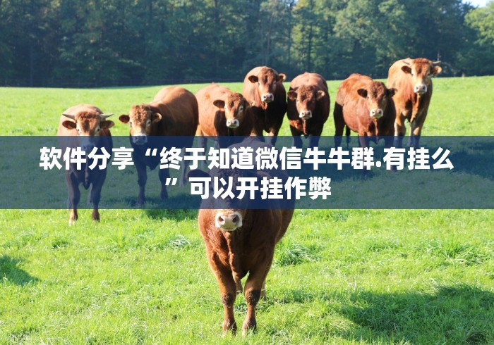 软件分享“终于知道微信牛牛群.有挂么	”可以开挂作弊