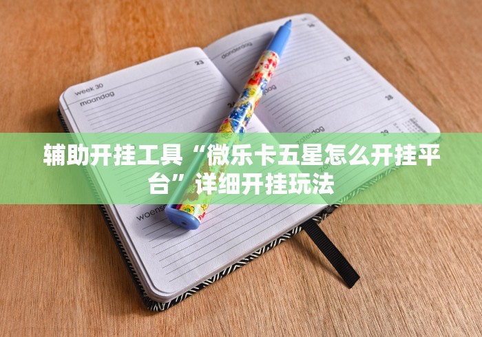 辅助开挂工具“微乐卡五星怎么开挂平台”详细开挂玩法