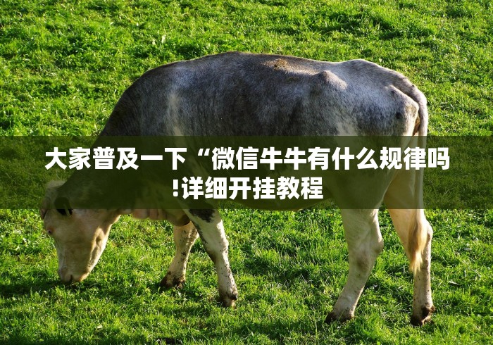 大家普及一下“微信牛牛有什么规律吗!详细开挂教程