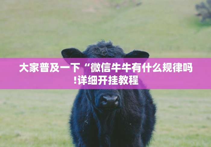 大家普及一下“微信牛牛有什么规律吗!详细开挂教程