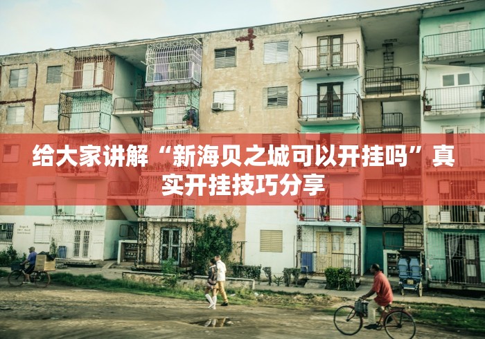 给大家讲解“新海贝之城可以开挂吗”真实开挂技巧分享